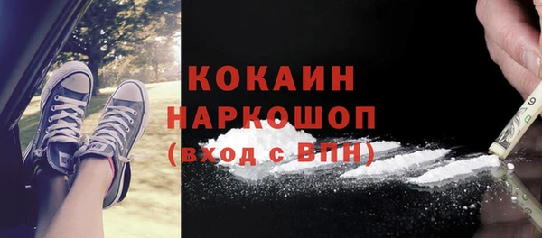 сатива Бронницы