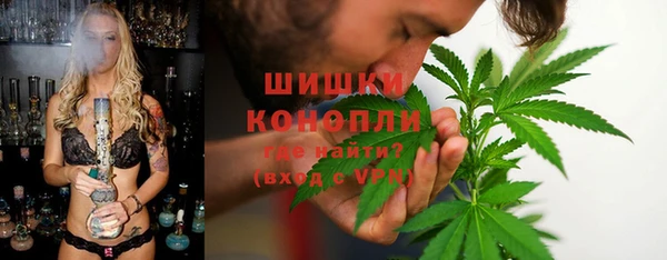 Альфа ПВП Бородино