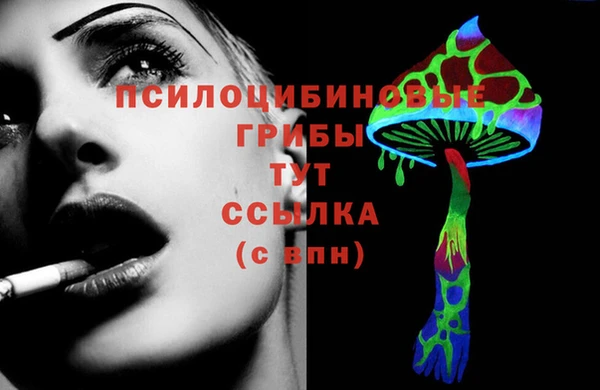 сатива Бронницы
