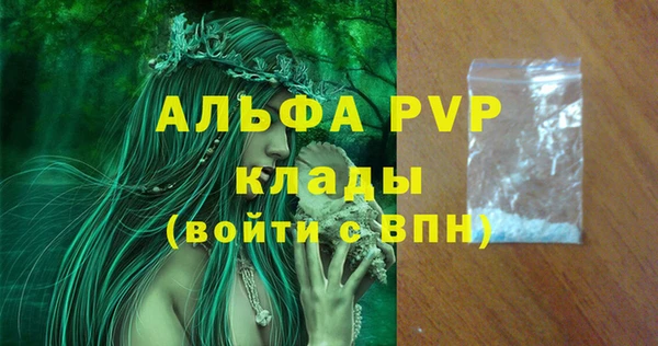 сатива Бронницы