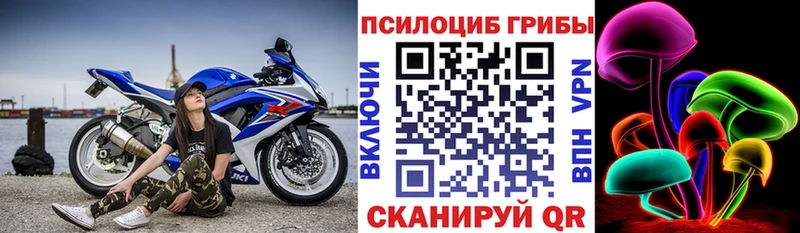 Псилоцибиновые грибы мицелий  где можно купить наркотик  Ростов 
